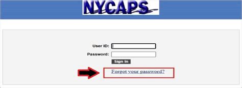 nycaps|nycaps website.